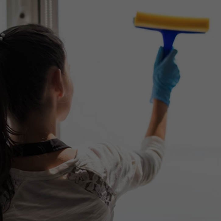 TG Cleaning Services INC